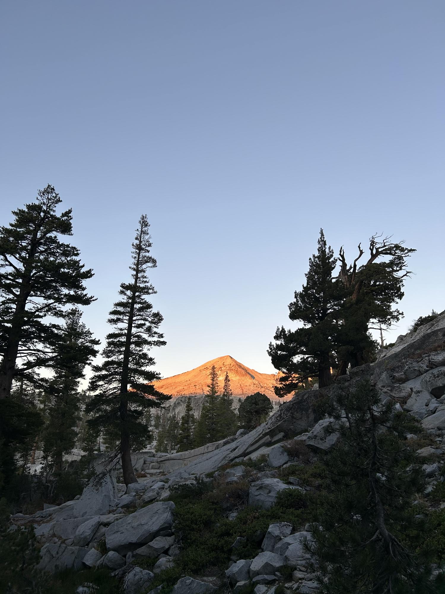 First light turning a granite peak orange, framed through silhouetted pines