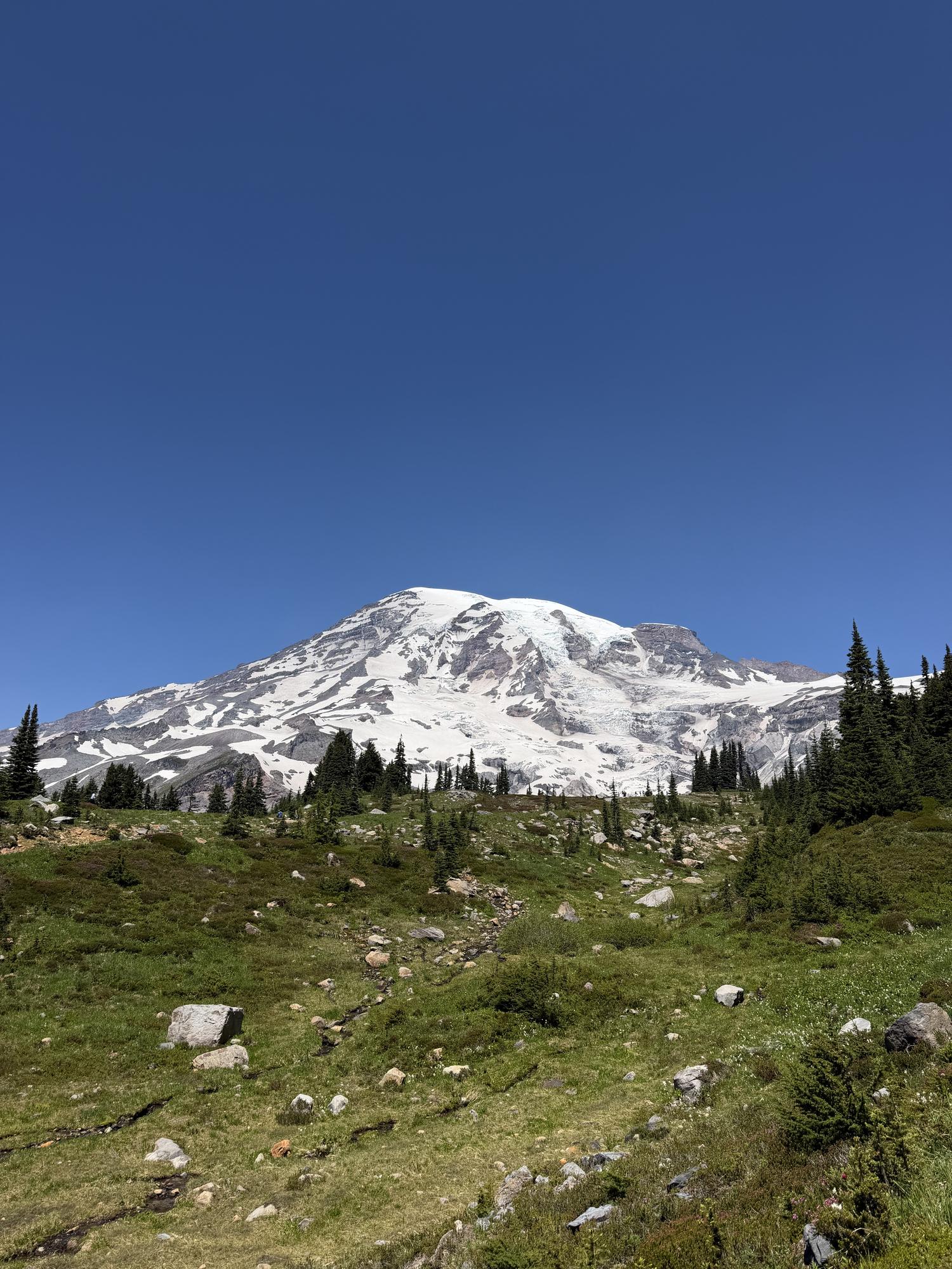 Mount Rainier under a deep blue sky above a green subalpine meadow