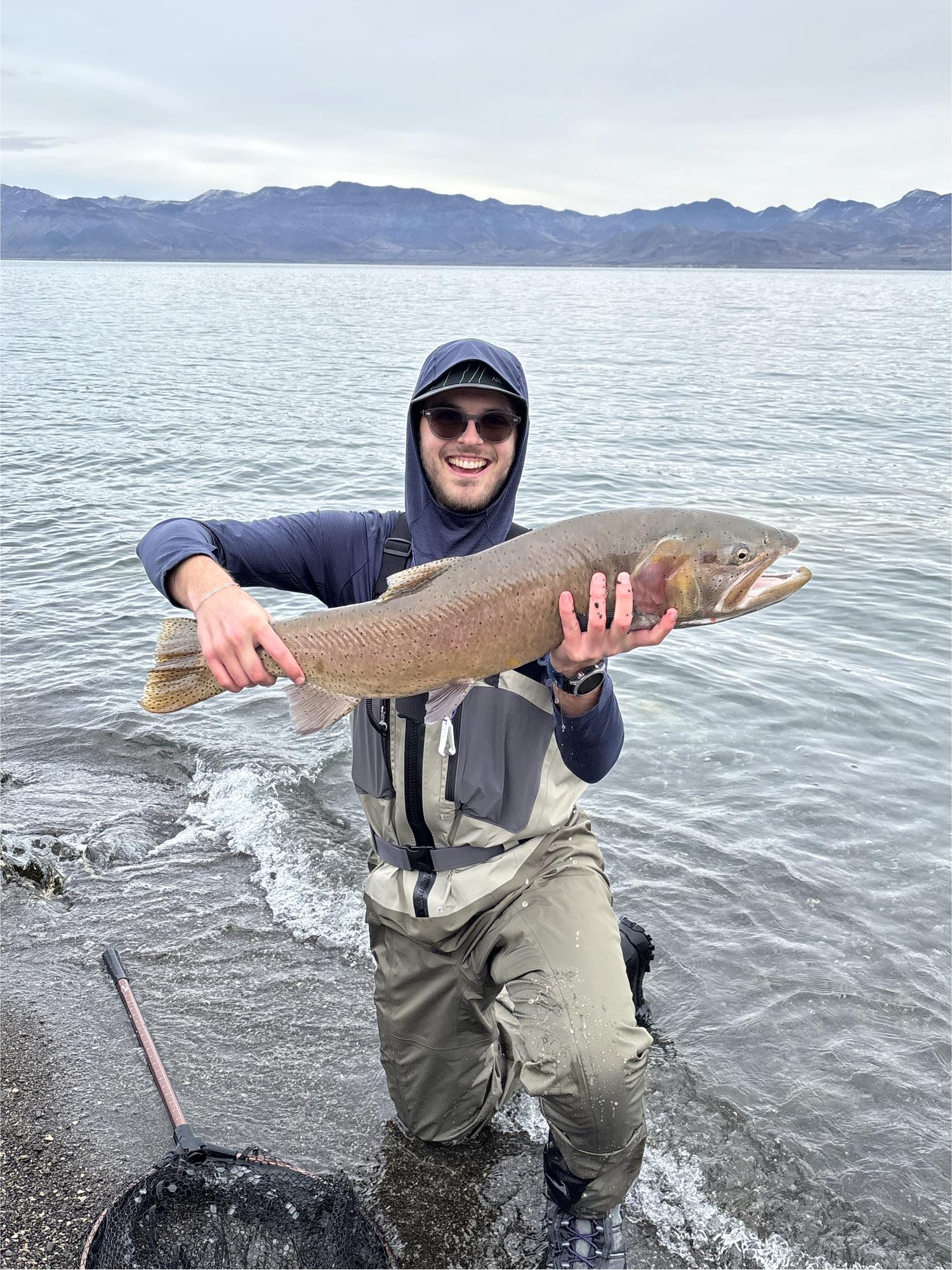 Holding a large cutthroat trout in shallow water on an overcast day at Pyramid Lake